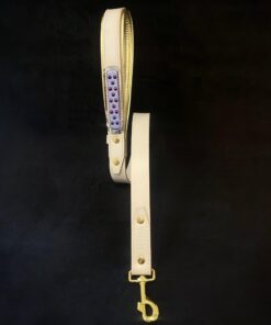 The Candy Leash