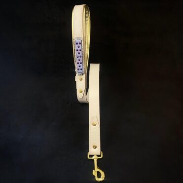 The Candy Leash