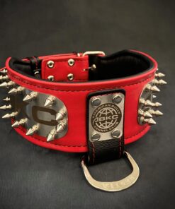 The ABKC Collar