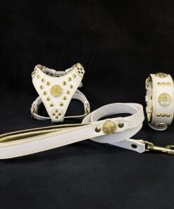 "Maximus White&Gold" Small dog SET - Harness - collar - lead
