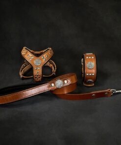 "Maximus Brown&Silver" Small dog SET - Harness - collar - lead