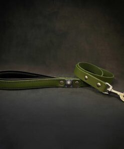 The "Eros" Green Leash 1 inch wide