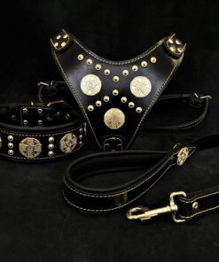 "Maximus Black" BIG dog SET- Harness - collar - lead. Brass rivets