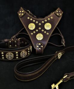 "Maximus Brown" BIG dog SET- Harness - collar - lead. Brass rivets