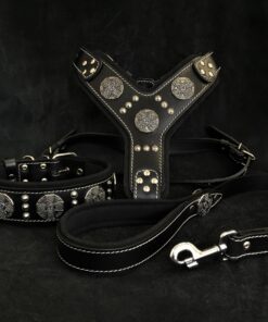 "Maximus Silver" BIG dog SET- Harness - collar - lead. Black