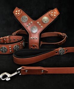 "Maximus Silver" BIG dog SET- Harness - collar - lead. Brown