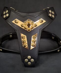 ''Midas'' leather dog harness gold medium size