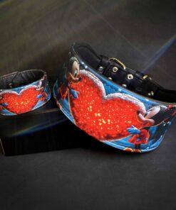 The Mickey Limited SET