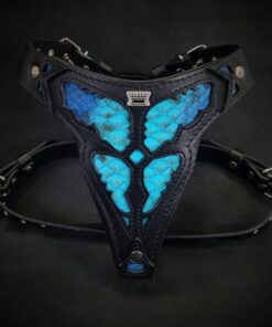 The ''Morelia Python'' harness Medium Size