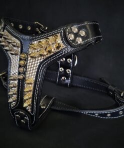 ''Platinum'' harness Medium Size