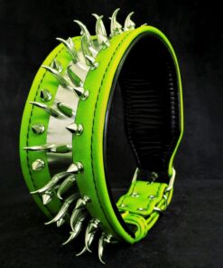 ''Predator'' collar in Green