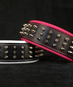 "Silver Giant" collar