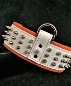 "Silver Giant" collar White