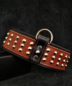 "Star" collar
