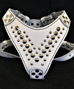 ''Star'' Harness Small to Medium size
