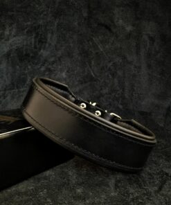 "Stylish" 2 inch wide dog collar