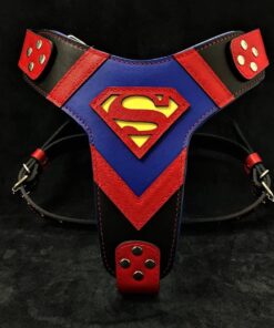''SUPERMAN'' HARNESS