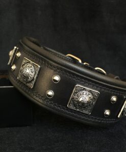 The all Black "Eros" collar 2.5 inch wide