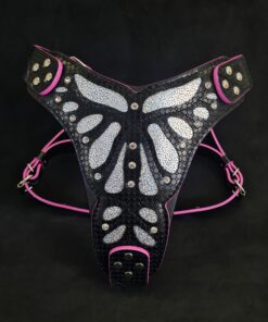The ''Ariel'' harness