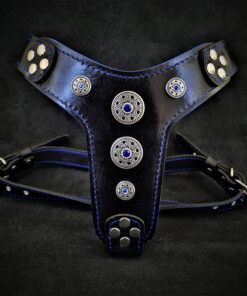 The ''Bijou'' harness Black & Blue Small to Medium Size