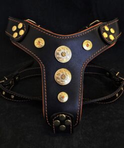 The ''Bijou'' harness Black & Orange Small to Medium Size