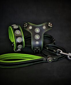 The ''Bijou'' SET -  Collar, Harness, Leash. Green