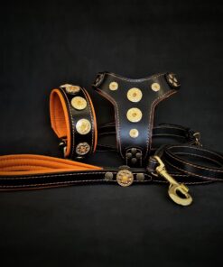 The ''Bijou'' SET -  Collar, Harness, Leash. Orange