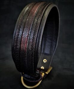 The ''Cobra'' collar