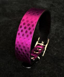 The "Corfu" puppy collar
