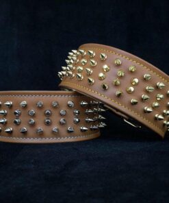The "Crown" collar