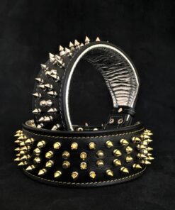The "Crown" collar Black