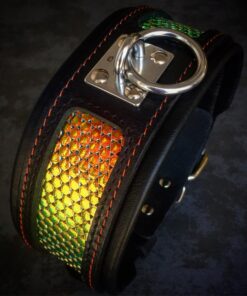 The ''D`Albertis'' collar