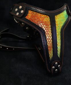 The ''D`Albertis'' harness LIMITED