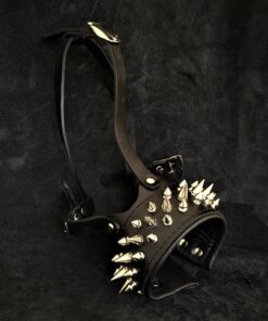 The "Danger" muzzle