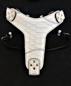 The ''Dragon Scale'' harness