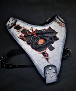 The âDragon's Eyeâ Harness LIMITED!