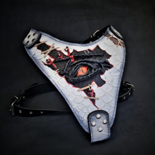 The âDragon's Eyeâ Harness LIMITED!