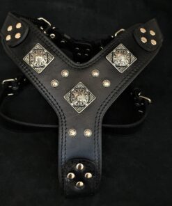 The "Eros" all Black Harness