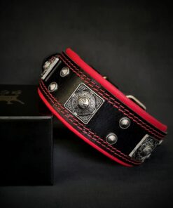 The "Eros" collar 2 inch wide