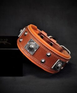 The "Eros" collar 2 inch wide brown & orange