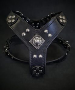 The ''Eros'' harness black Medium Size