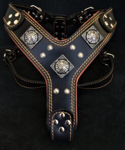 The "Eros" harness Black & Orange