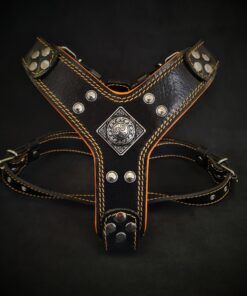 The ''Eros'' harness Black & Orange Small to Medium Size