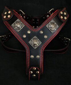 The "Eros" harness black & red