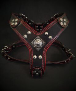 The ''Eros'' harness Black & Red Small to Medium Size