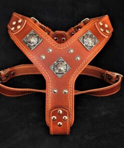 The "Eros" harness brown