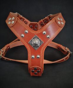 The ''Eros'' harness brown Small to Medium Size