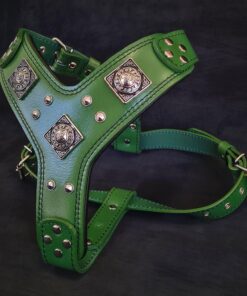 The "Eros" harness GREEN