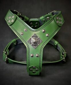 The ''Eros'' harness Green Small to Medium Size