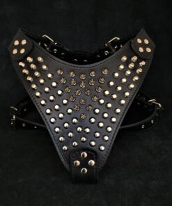 The "Gladiator" harness